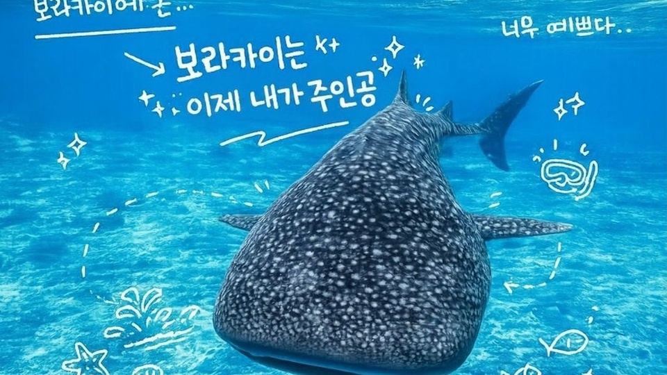 고래상어·세일링·미식까지 담은 보라카이 올인원 여행